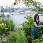 Jardin_sur_un_toit