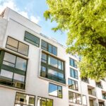 Arbre devant un immeuble neuf