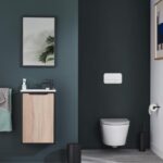 toilettes suspendues