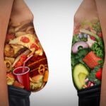 Les habitudes alimentaires