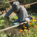 homme qui travaille dans son carré potager