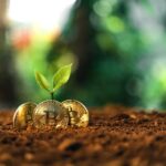 Bitcoin growth, Bitcoin coins on the ground and leaves grow.