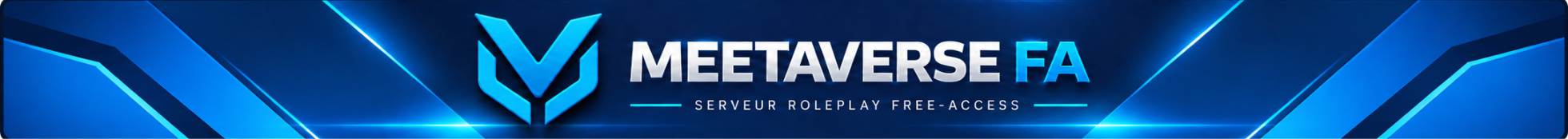 Serverdetails Meetaverse FA