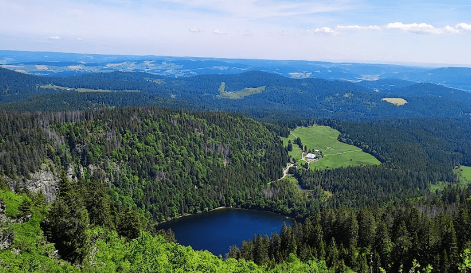Schwarzwaldes