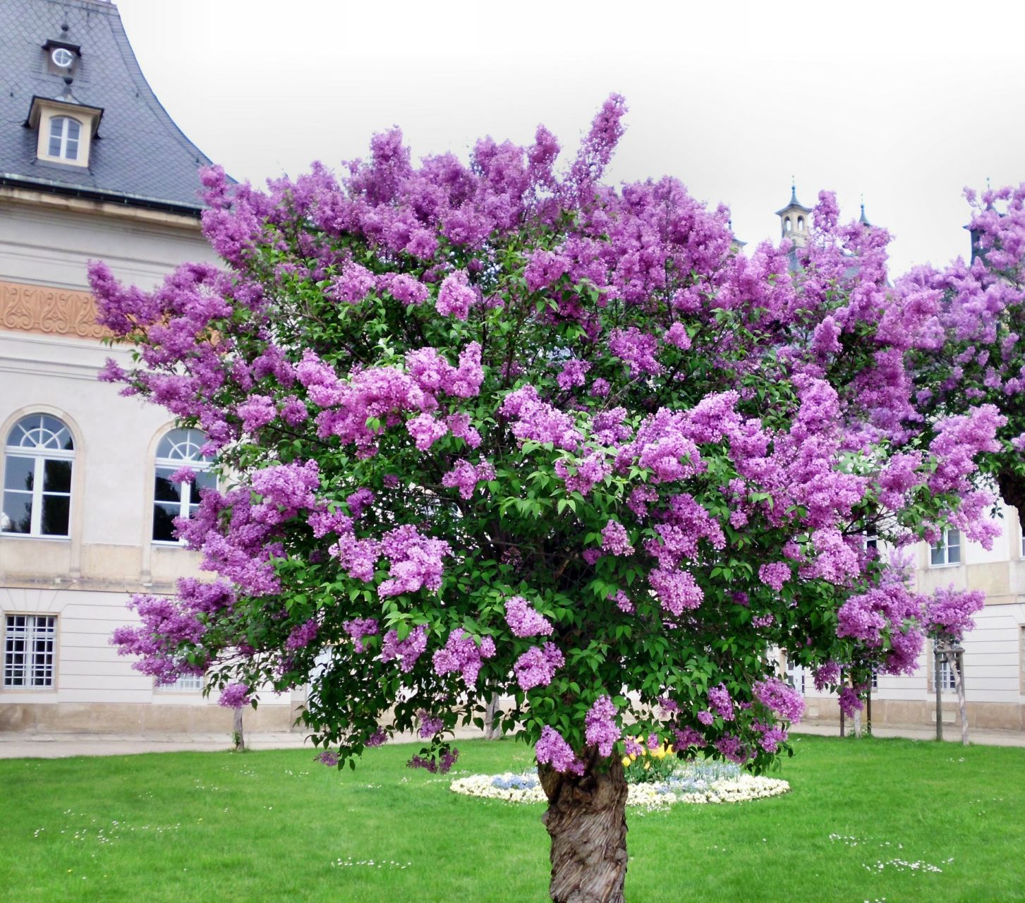 https://www.hebergeur-image.com/upload/83.197.27.26-67f4eb2036323.jpg