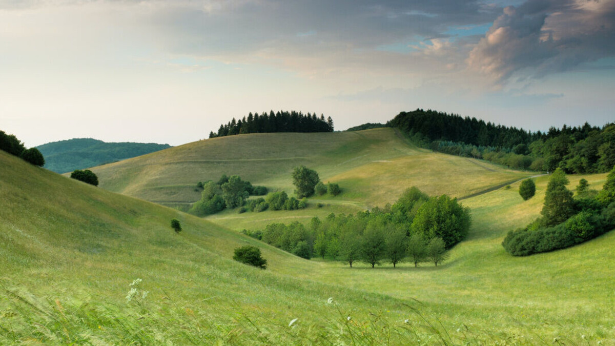 https://www.hebergeur-image.com/upload/83.197.27.26-68369ef65d534.jpg