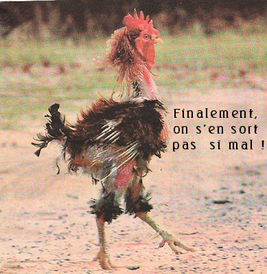 https://www.hebergeur-image.com/upload/86.236.53.10-68becccfba42b.jpg