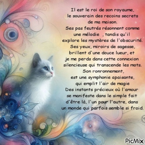 https://www.hebergeur-image.com/upload/90.11.150.26-6a913f68d98c6.jpg
